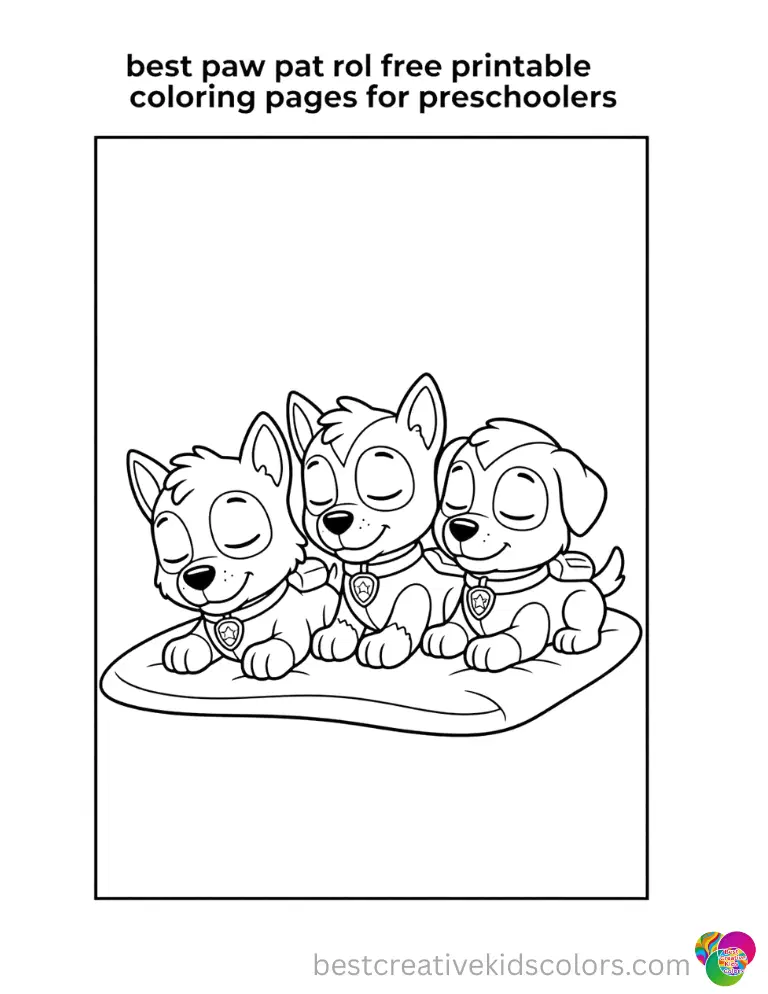 The Paw Patrol pups sleep peacefully side by side on a simple striped rug.