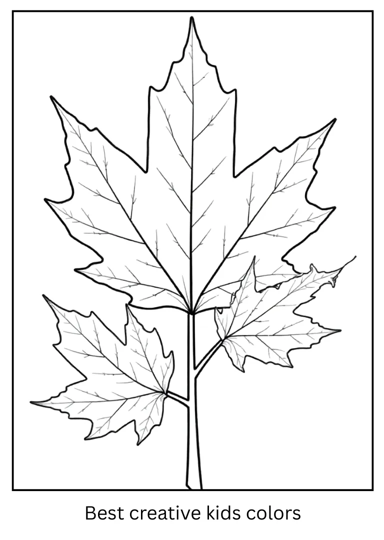 October Maple Leaves Coloring Page