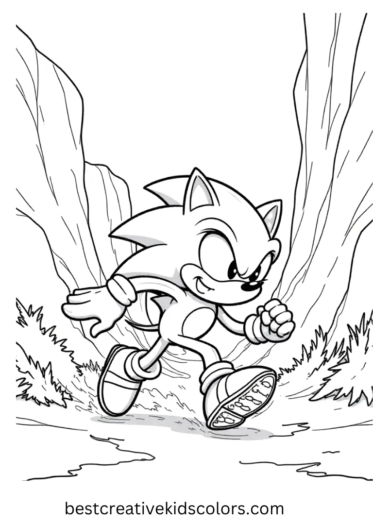 Sonic the Hedgehog Action Page – Wild Canyon