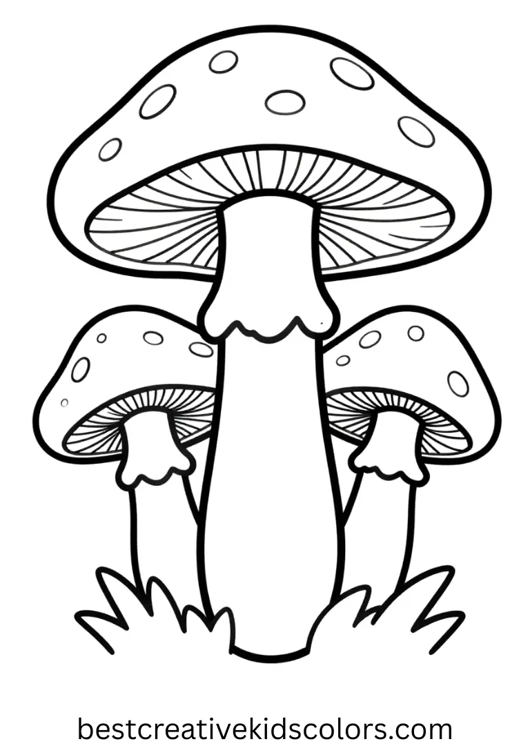 Trippy mushroom coloring page for adults shows mushrooms with kaleidoscopic patterns.